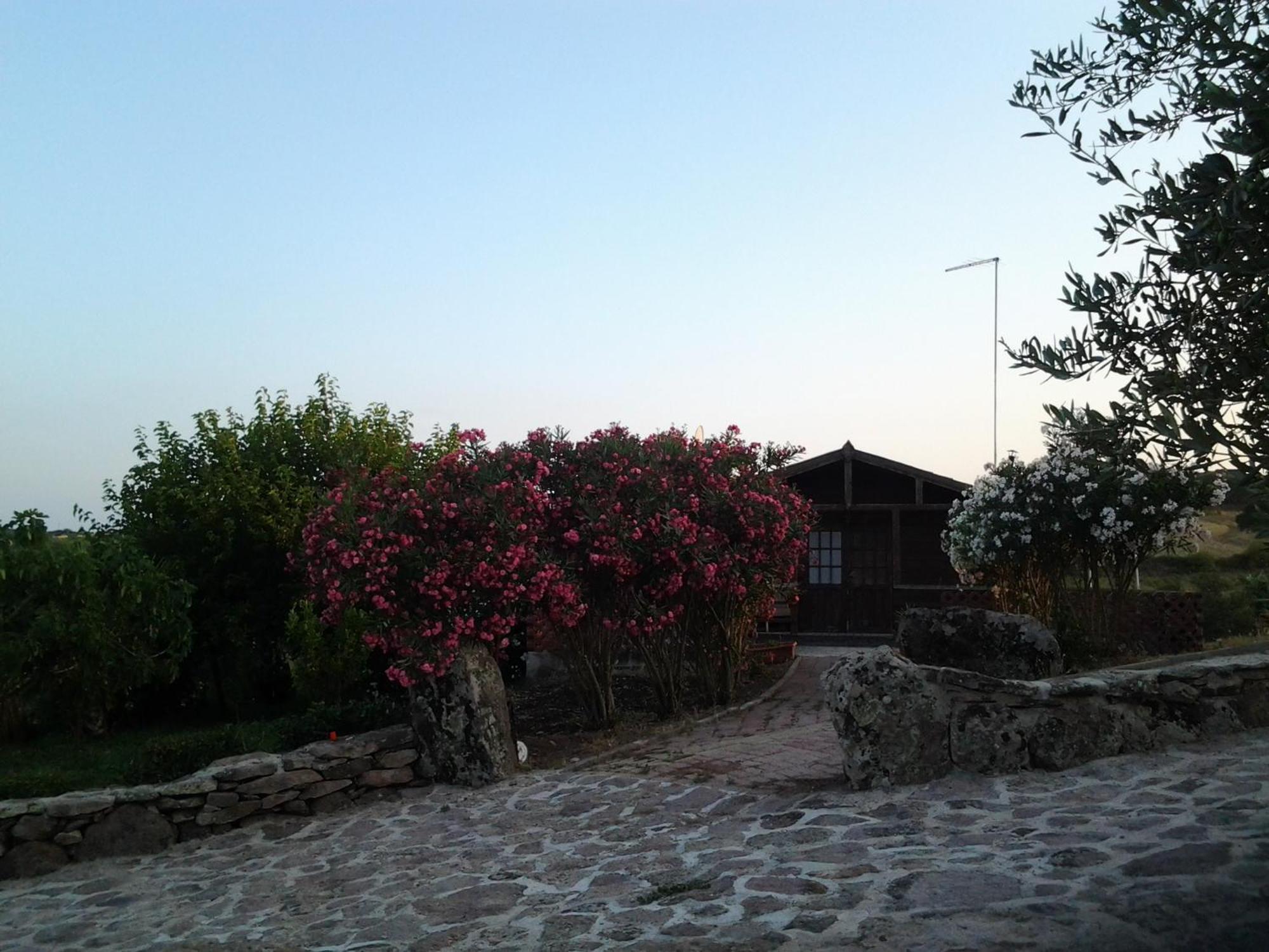 Agriturismo Su Recreu Ittiri Rom bilde