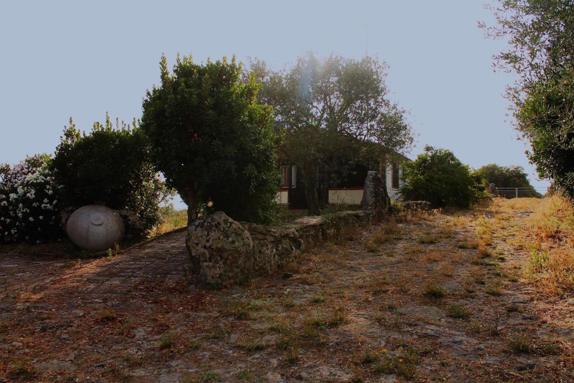 Agriturismo Su Recreu Ittiri Eksteriør bilde