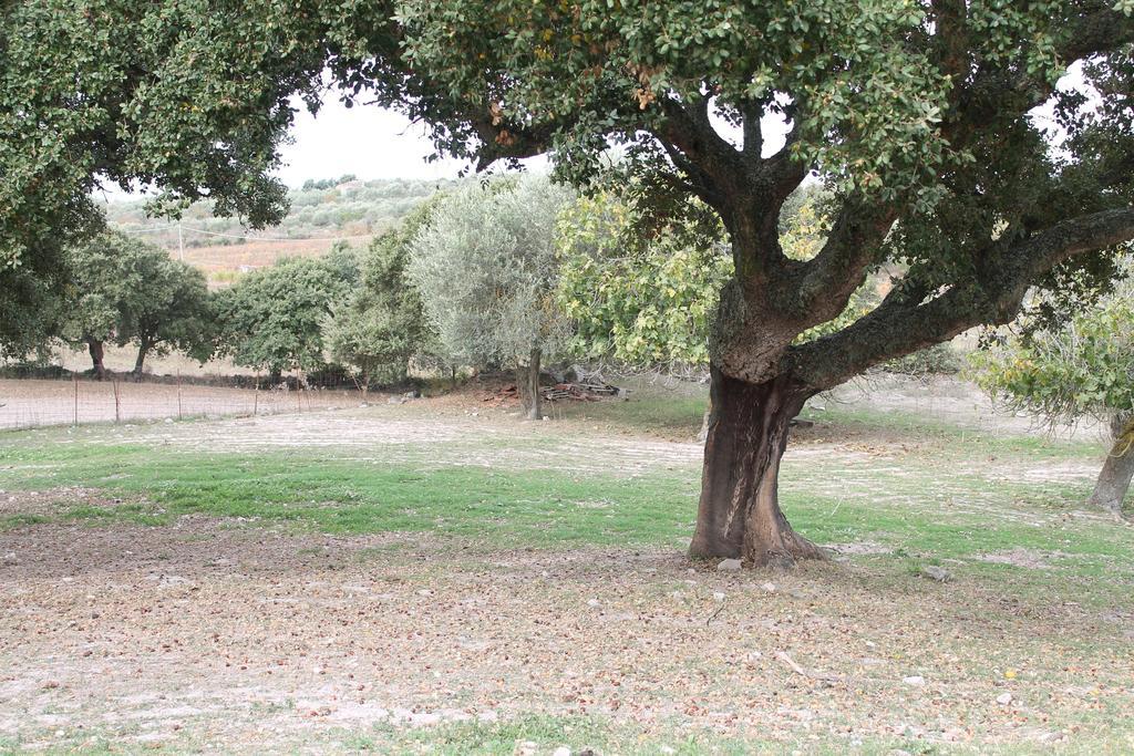 Agriturismo Su Recreu Ittiri Eksteriør bilde