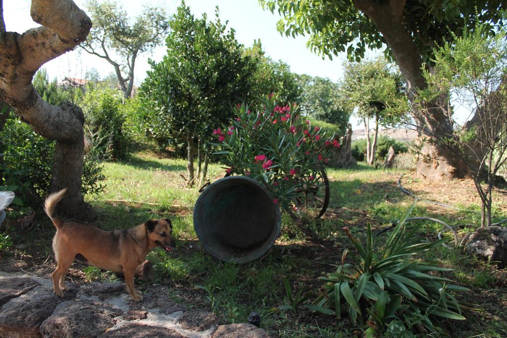 Agriturismo Su Recreu Ittiri Eksteriør bilde