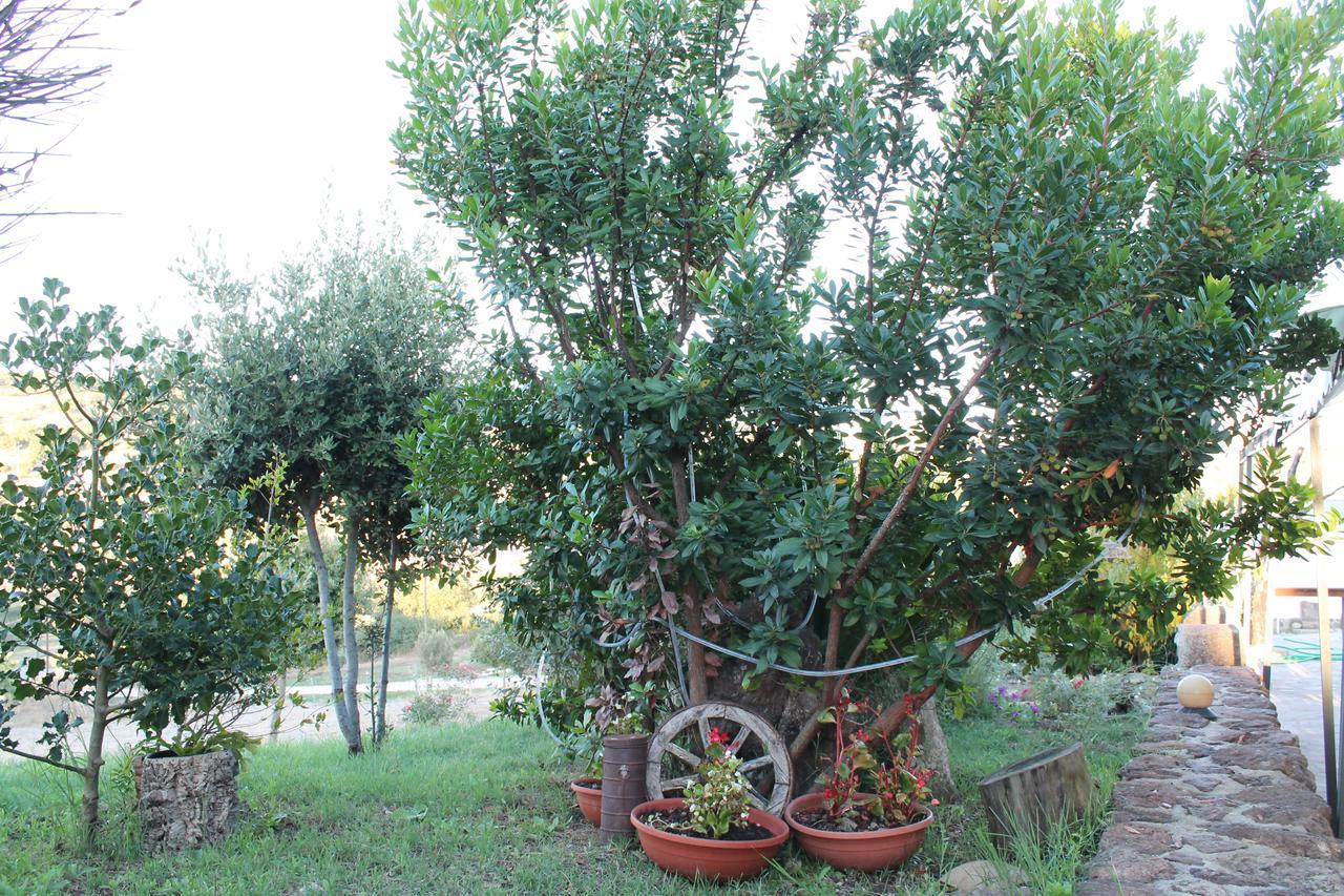 Agriturismo Su Recreu Ittiri Eksteriør bilde