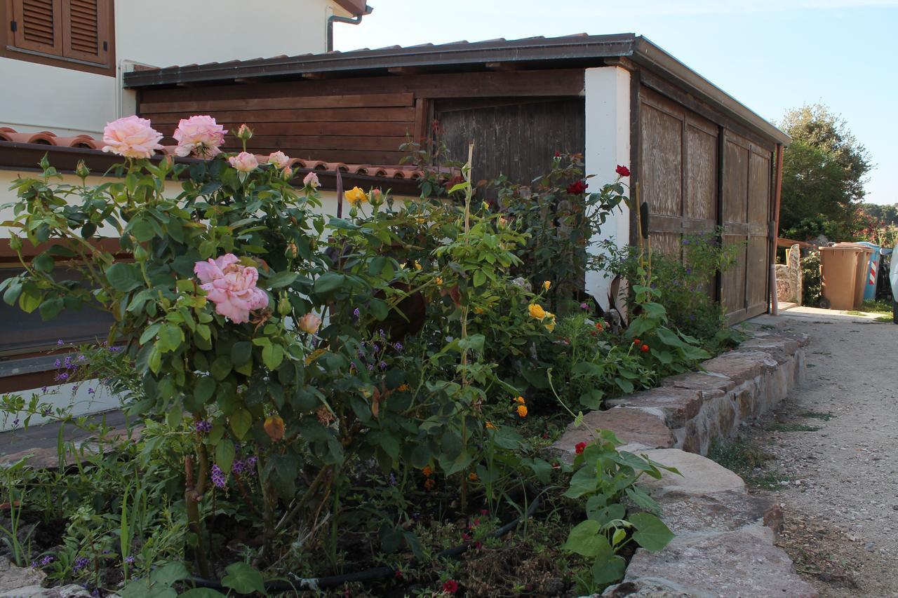 Agriturismo Su Recreu Ittiri Eksteriør bilde