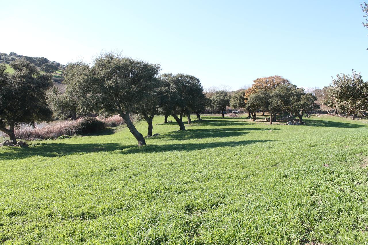Agriturismo Su Recreu Ittiri Eksteriør bilde