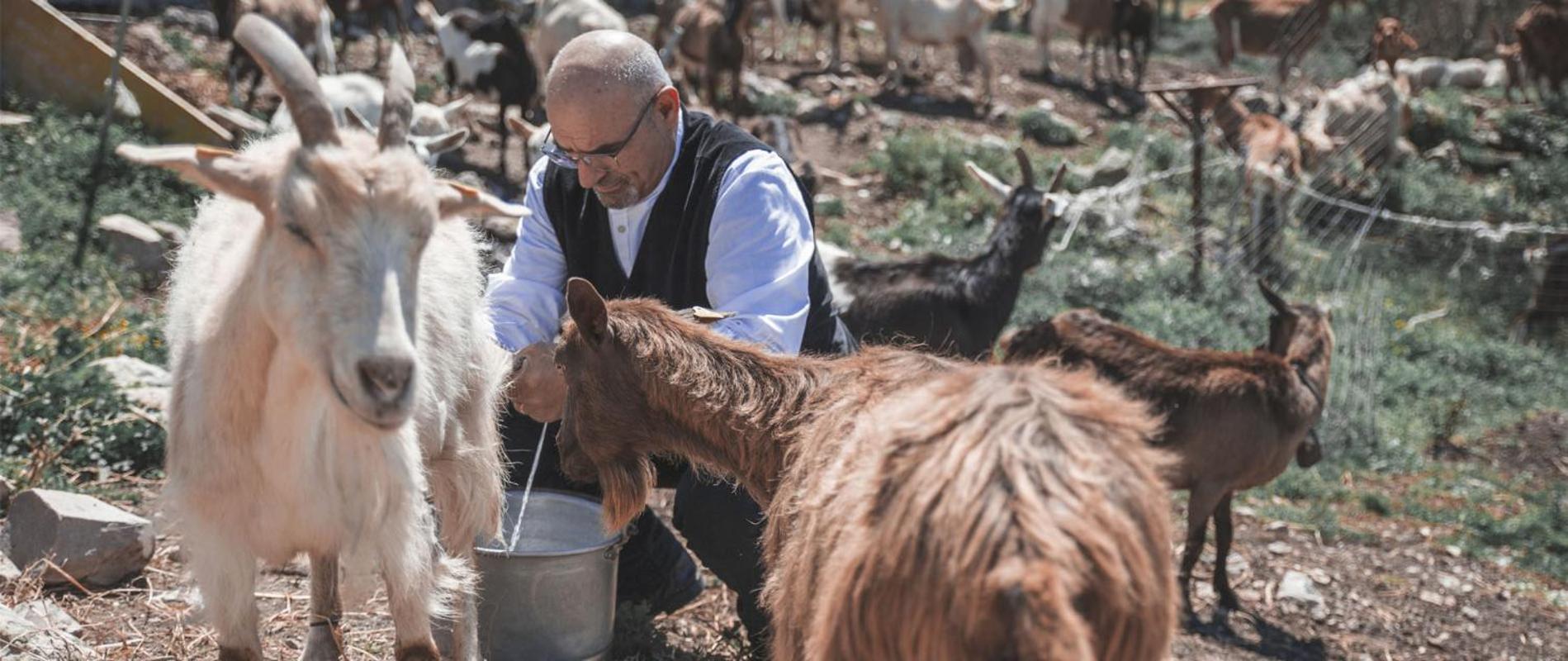 Agriturismo Su Recreu Ittiri Eksteriør bilde